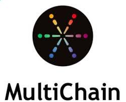 Multichain bridge connecting blockchain networks